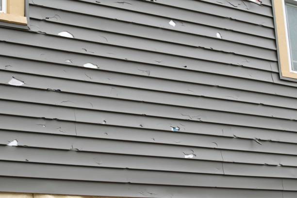  Durand, MI Siding Installation Pros